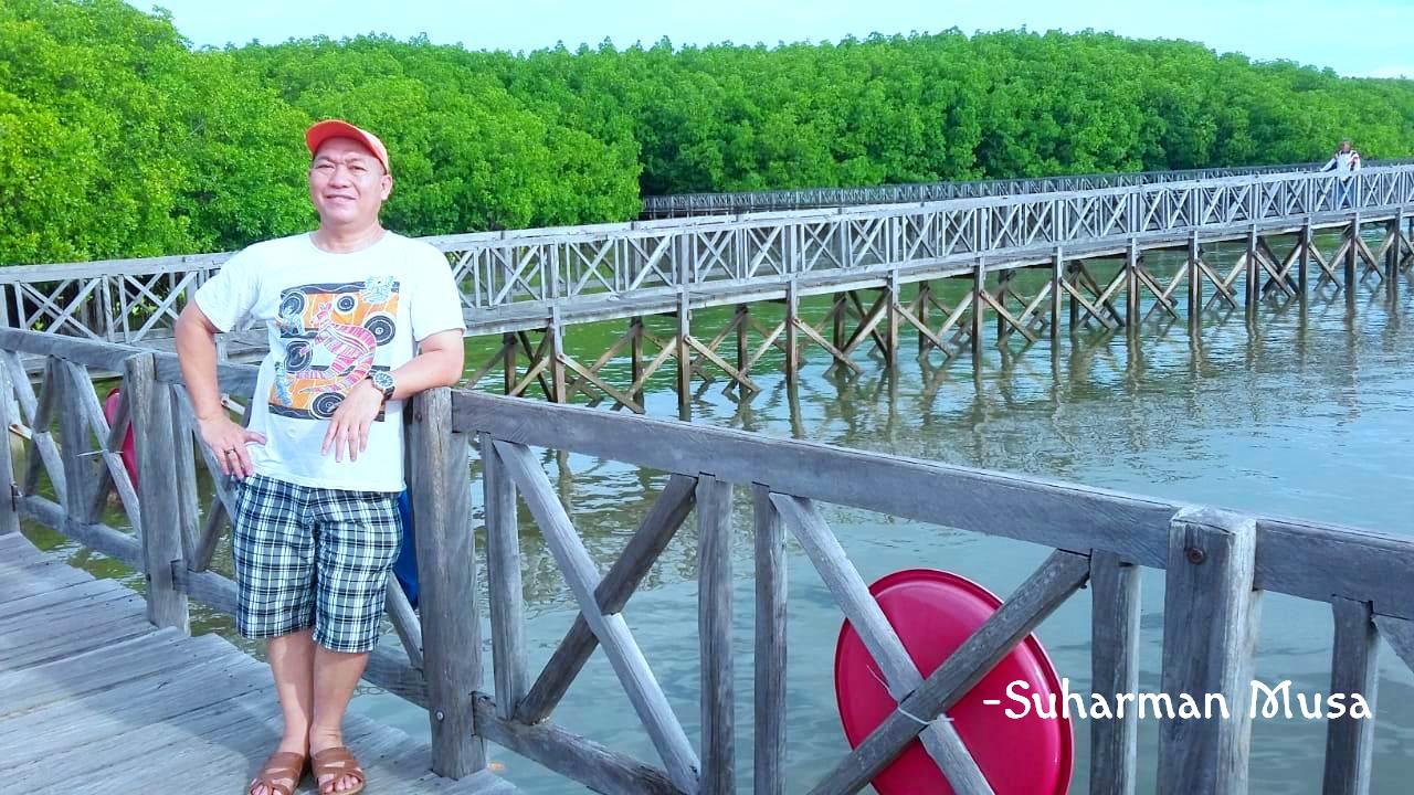hutan bakau