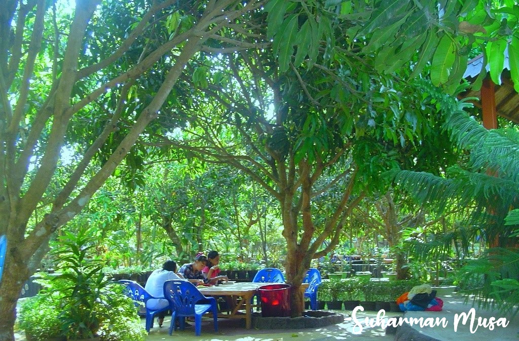 wisata kebun