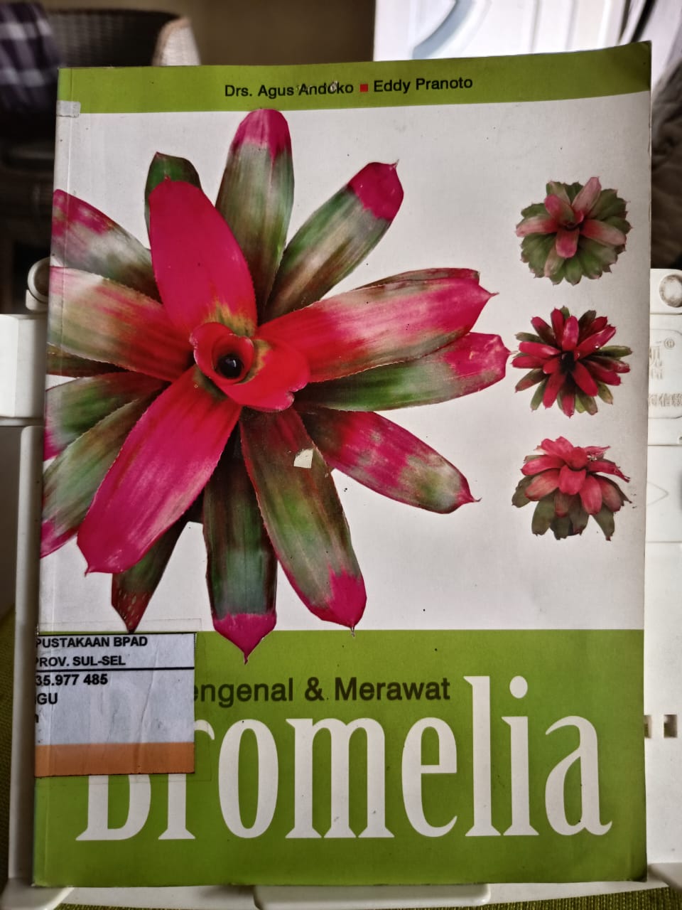 bromelia